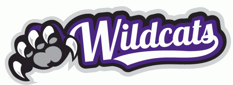 Weber State Wildcats 2012-Pres Misc Logo diy DTF decal sticker